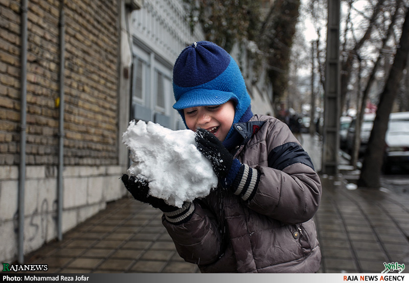 تصاویر:: بارش برف در تهران